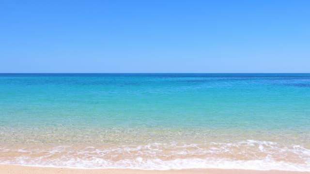 海